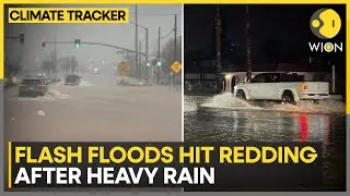 California Flash Flood: Roads Submerged, Rescues Underway in California City | WION