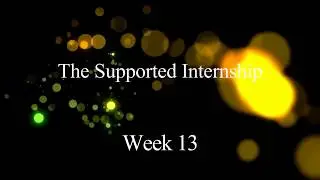 The Supported Internship. Week 13 day's 35,36,37