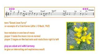 Two new crab canons written whilst studying the musical puzzles in Bach's Musical Offering BWV 1079