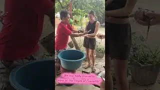 #HouseOfCrocodile #EcoFarm #Since1983 #Angkorwat#Contact us  
