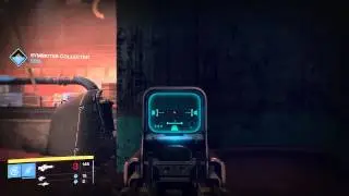 Gheleon's demise ammo bug