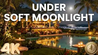 Under Soft Moonlight ☕ Romantic Bossa Nova for Warm & Peaceful Nights