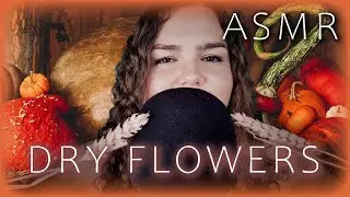 ASMR Dry flowers |🍂 Cozy Autumn Vibes 🍂