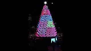 Christmas in Melbourne city 2022 | Illuminate the Giant Christmas Tree 🎄 (Full Show in HD)