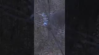 “Oklahoma Buck Truck” over on the MeatEater channel! 