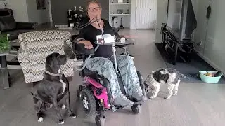 Feeding My Dogs With A Mouthstick - Christina Ulmer, C3/4 Complete Quadriplegic from Colorado, USA