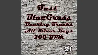Fast Bluegrass Backing Track in D Minor 200 BPM, Vol. 1