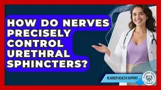 How Do Nerves Precisely Control Urethral Sphincters? - Bladder Health Support