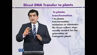 In Planta Transformation | Introduction to Biotechnology | BIO5101_Topic135