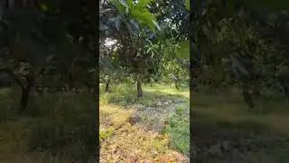 @ungu luka disini