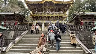 Visited Nikko TOSHOGU Shrine, đền thờ Thần Đạo uy nga lộng lẫy #toshogu #shrine #nikko #japan 