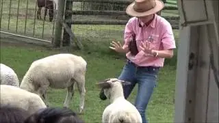 マザー牧場のマザーファームツアーのガイドさんが教える動物にエサをあげるときのコツ！