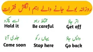 Daily Use English Sentences For Beginners | English Sentences For Speaking Practice|English Sentence