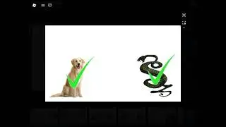The Best pet for me m&ecirc;me 2026 :3 my movie