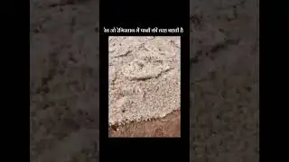 Pani ki tarah behti ret #viralvideo #trendingshorts #trending #shorts #sunday #nature #registhan