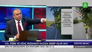YOLA SARKMIŞ AĞAÇ YOLUN EĞİMİ KUSURU