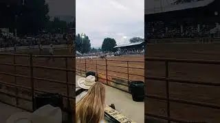 My first time watching the rodeo in Plains, Mt.  #montana #countyfair #cowboys #theamericanrodeo