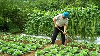 The EX FELON's Guide to Successful Land Reclamation and Gardening
