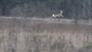Лугові зони на берегах річки Псел.