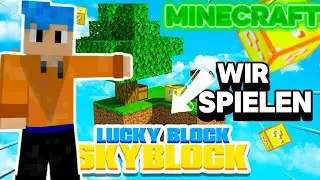 Kannst du die ganze LUCKY BLOCK Insel zerstören?