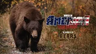 WHEN IN AMERICA: The Series- In Search Of Bears [Episode 2]