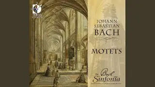Jesu, meine Freude, BWV 227: Ihr aber seid nicht fleischlich