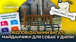 Собаки на тренуванні: як працюють спеціальні майданчики в Дніпрі