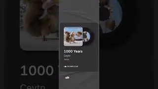 Ceytn - 1000 Years (Official Audio)