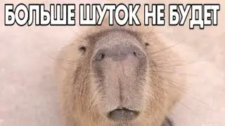 ПРОСТИТЕ, БОЛЬШЕ ШУТОК&hellip;