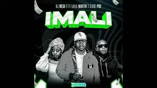 Dj Mega T-Imali Ft Lalla Martin & Slage Pro