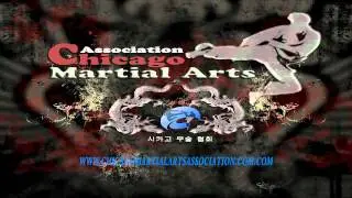 CHICAGO MARTIAL ARTS ASSOCIATION.f4v