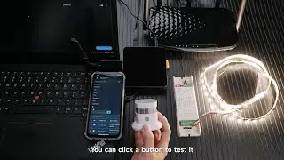 Home Assistant work with  Smart Photoelectric Smoke Alarm _SR-ZG9070A-SS