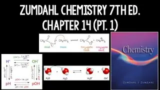 Zumdahl Chemistry, 7-е изд., Глава 14 (часть 1)