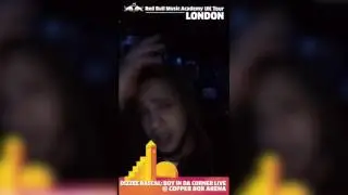 AT THE GIG - DIZZEE RASCAL (BOY IN DA CORNER LIVE)