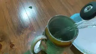 Making Spicebush Tea!