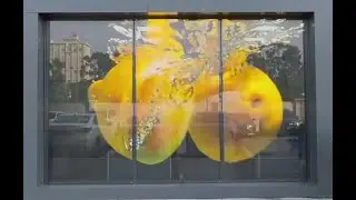 Muxwave Hanging Up Holographic Transparent Led Screen Behind Window  3D Display Glass Curtain Wall