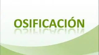 6  Osificación
