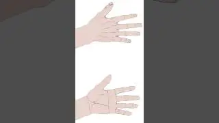 How To Draw Hands Measurements And Proportions Short