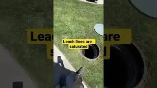 Time for a new leach line or a bio remediation￼