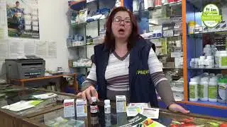 Помощ при избора за семена на домат: Съвета на агронома - част 4/4.