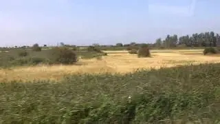 Faversham to Whitstable by train