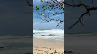 Ocean of Memories 🫧❤️🫶           #downsouth #beachlife #thalpe #hindisong #nature #beachvibes