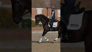 How to nail basic transitions&hellip; with Gareth Hughes 🌟 #equestriantraining #garethhughes #dressage