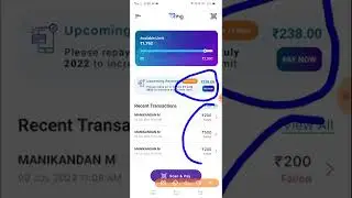 Ring Paynow paylater Application Payment failure problems Update details