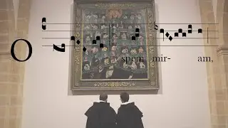 O Spem Miram O.P.