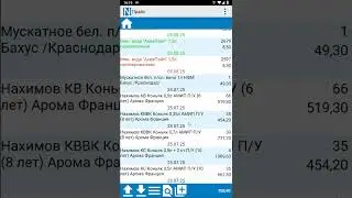 История продаж в мобильной торговле AceTeam | Наполеон
