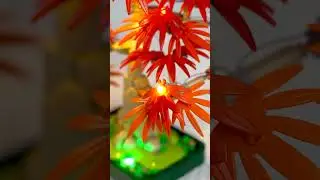 Elevate your Lego Red Maple Bonsai Tree with BRIKSMAX. #LEGO #LEGOlights #afol #briksmax