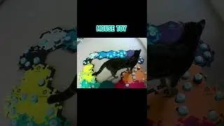 Mouse Toy Update