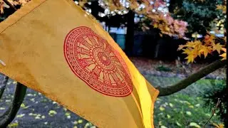 Sutta Study: &ldquo;Be Your own Island&rdquo; SN 22.43 with Marajina Bhikkhuni