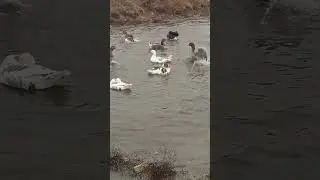 Un an binecuvântat tuturor!